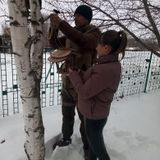 Добрая суббота